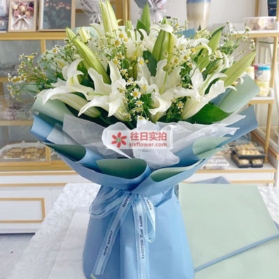 南平8支白色多头百合洋甘菊,互倾的思念