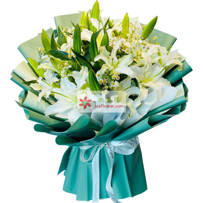 南平8支白色多头百合洋甘菊，如潮的思念